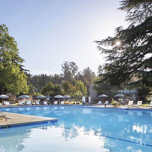 A serene outdoor swimming pool area with lounge chairs, umbrellas, and tall trees surrounding the pool, reflecting a peaceful ambiance.