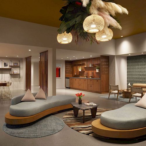 A modern lounge area with curved sofas, a rug, a small table, decorative lighting, and a large plant fixture, adjacent to a kitchenette and dining space.