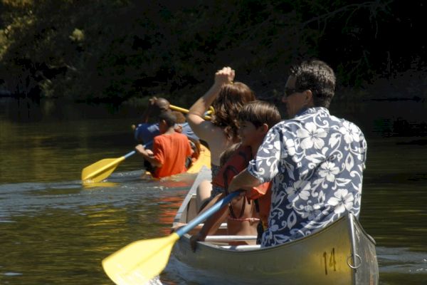 A group of people paddling canoes on a calm water body under the sunlight, enjoying an outdoor activity among nature.