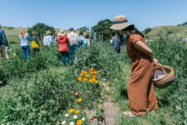 A group of people in a field, with one person up close examining flowers while holding a basket. Everyone is dressed casually under a clear sky.