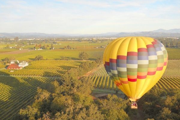 A brightly colored hot air balloon floats over a scenic landscape with vineyards, fields, and trees, under a clear sky with few clouds.