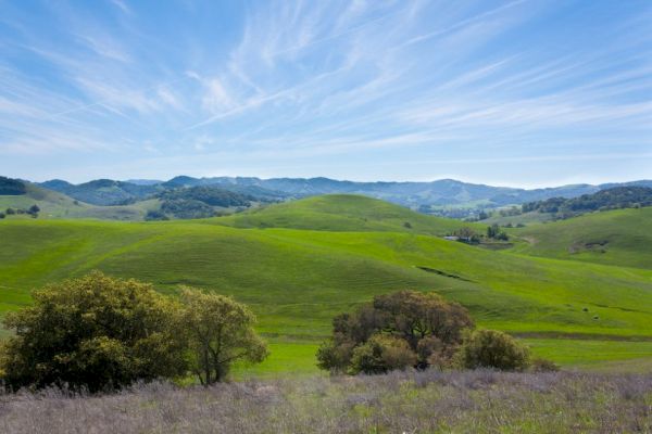 A serene landscape featuring rolling green hills with scattered trees under a clear blue sky with wispy clouds, capturing a peaceful countryside scene.