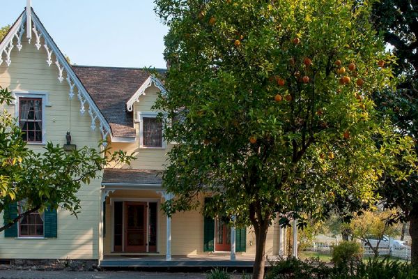 A two-story yellow house with green shutters and a front porch, surrounded by trees and a garden, featuring citrus fruits.