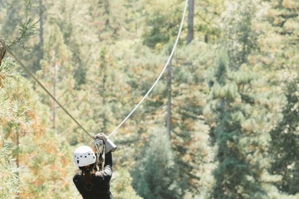 A person wearing a helmet and black outfit is zip-lining through a forested area with tall trees in the background.