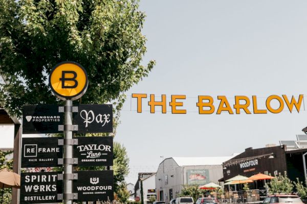 A tree with signs for various businesses, including Vanguard Properties, Pax, ReFrame, Spirit Works Distillery, and The Barlow, in a street setting.