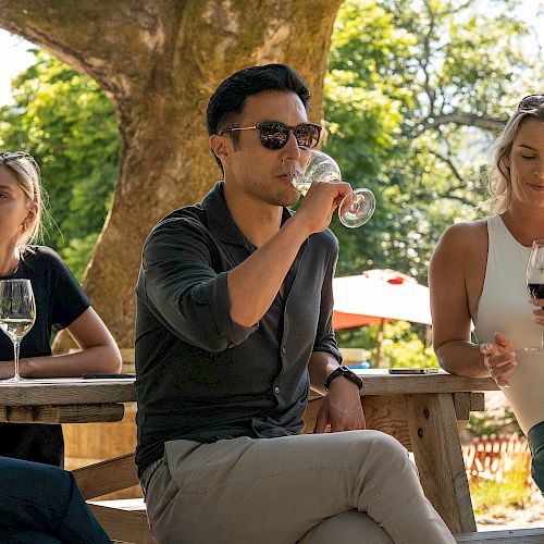 Four people are sitting at a wooden picnic table outdoors, drinking wine, and enjoying the scenery, ending the sentence.