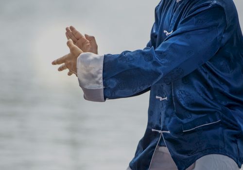 A person dressed in a blue traditional outfit is shown in a martial arts pose near a body of water.