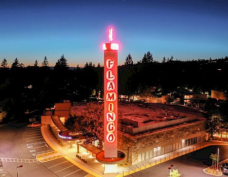 A neon-lit tower with the word "FLAMINGO" stands in a parking lot during twilight, with surrounding trees and buildings visible in the background.