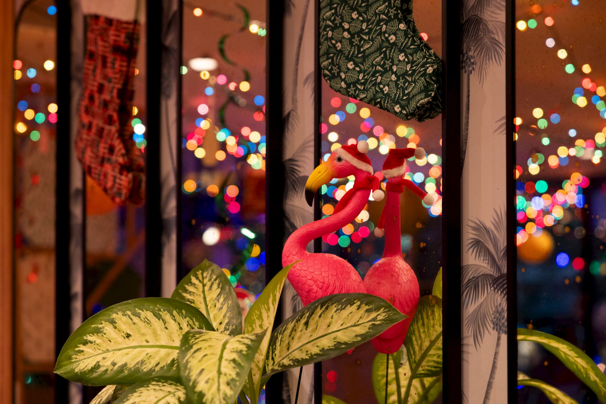 The image shows festive decorations with colorful lights, a stuffed flamingo with a scarf, hanging stockings, and vibrant green plants.