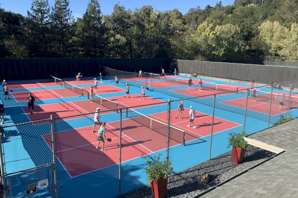 People are playing on several outdoor pickleball courts surrounded by trees and fencing.