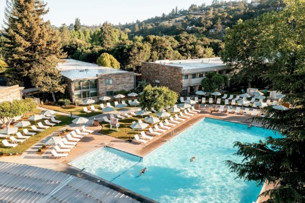 The image shows a serene resort with a large outdoor swimming pool, surrounded by numerous lounge chairs and umbrellas, set against a lush, wooded backdrop.