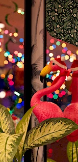 A pink flamingo ornament, stockings, and plants are in the foreground, with colorful lights in the background.