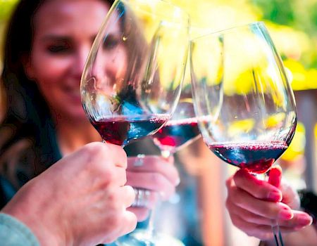 Three people toasting with glasses of red wine, with a blurry background of greenery, indicating an outdoor setting.