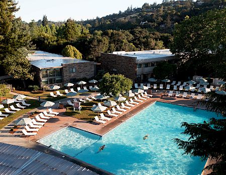 The image shows a serene outdoor pool surrounded by lounge chairs and umbrellas, with buildings and lush greenery in the background.