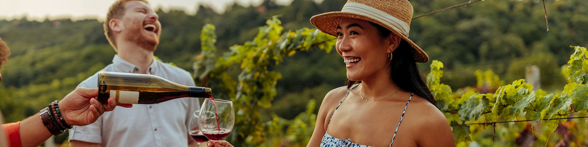 People enjoying wine in a vineyard, with one person pouring a glass for others amidst a backdrop of lush grapevines and rolling hills.