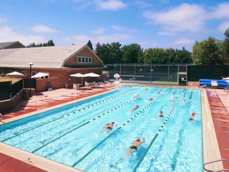 This image features an outdoor swimming pool with multiple people swimming laps, surrounded by a deck with chairs and a building in the background.