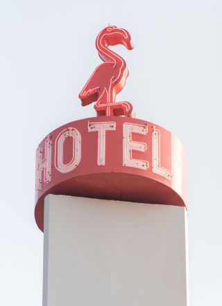 A pink flamingo sits atop a circular hotel sign on a tall white pillar, clear sky in the background.