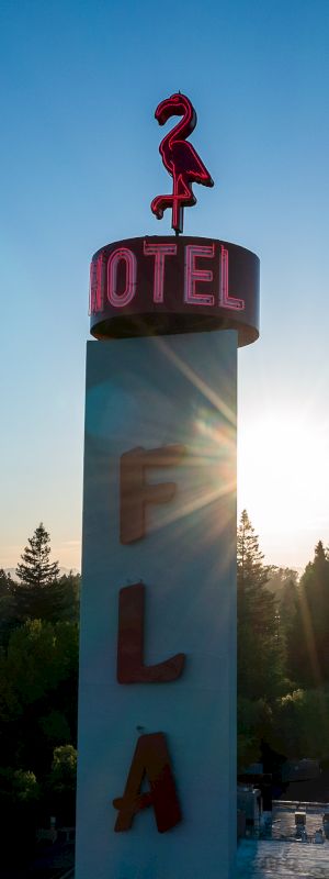 A tall motel sign with a pink neon flamingo and the word "Motel" in the sunlight, surrounded by trees and buildings.