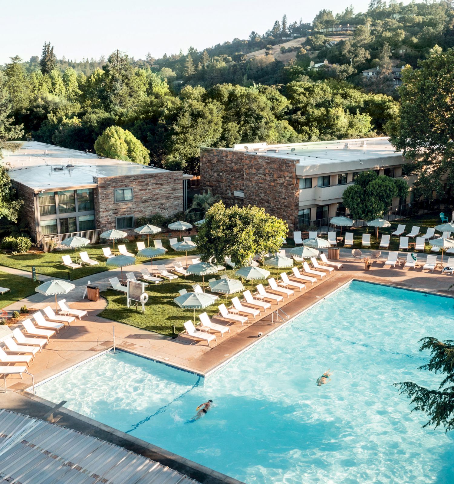 A serene hotel pool area surrounded by lush greenery, lounge chairs, and umbrellas; people swim in the pool under clear skies.